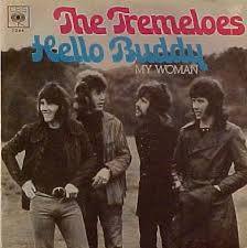 Hello Buddy - The Tremeloes s97 +