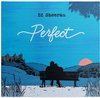 Perfect - Ed Sheeran SX900+